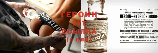 индика Пестово
