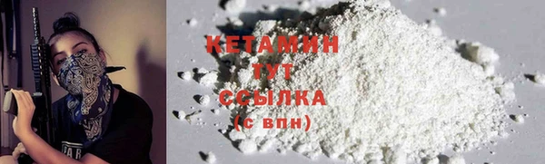 индика Пестово