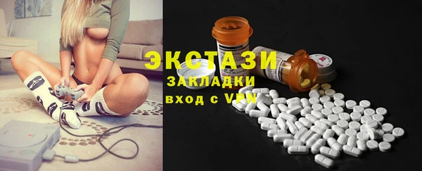 индика Пестово