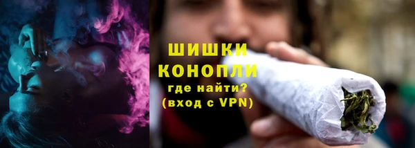 индика Пестово