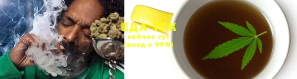 индика Пестово