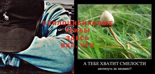 таблы Пересвет