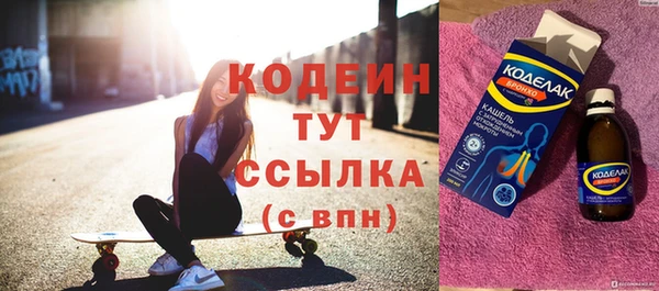 индика Пестово