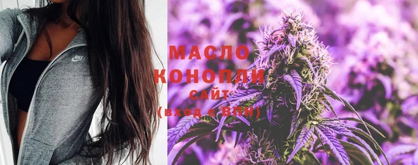 индика Пестово