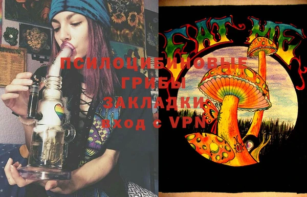 индика Пестово