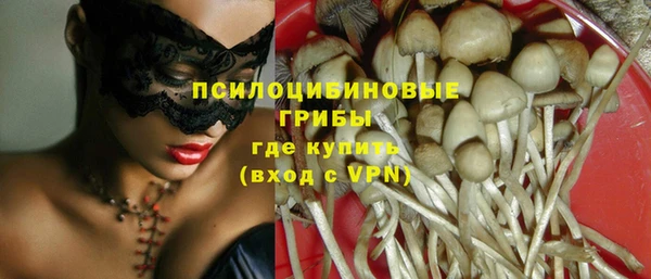 индика Пестово
