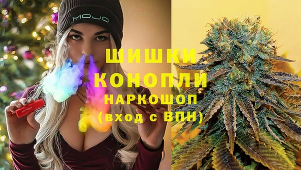 индика Пестово