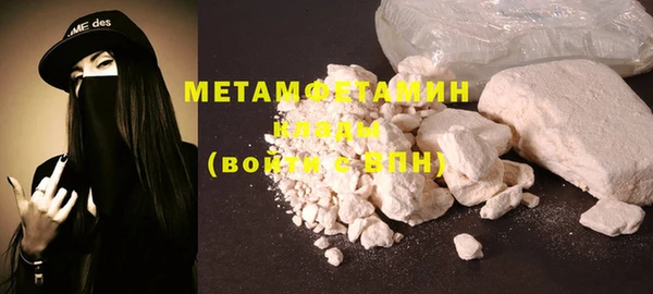 индика Пестово
