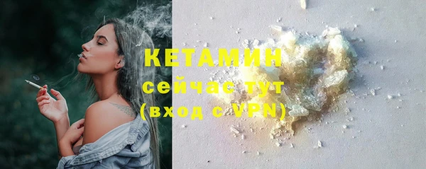 индика Пестово